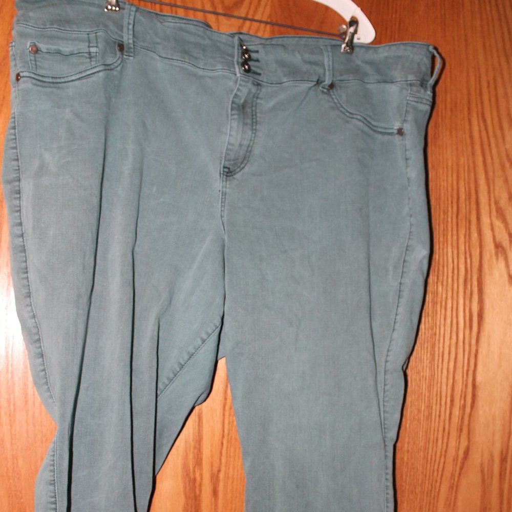 Torrid Size 30S Green Jeggings